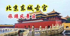 啊灬嗯灬啊灬用力点灬羞羞网站中国北京-东城古宫旅游风景区